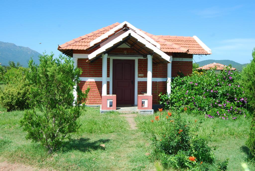 Masinagudi Guest house *