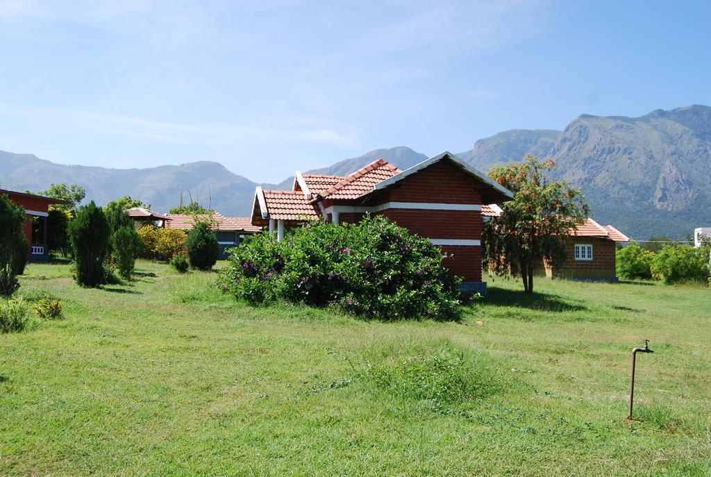 Guest house Masinagudi Ooty