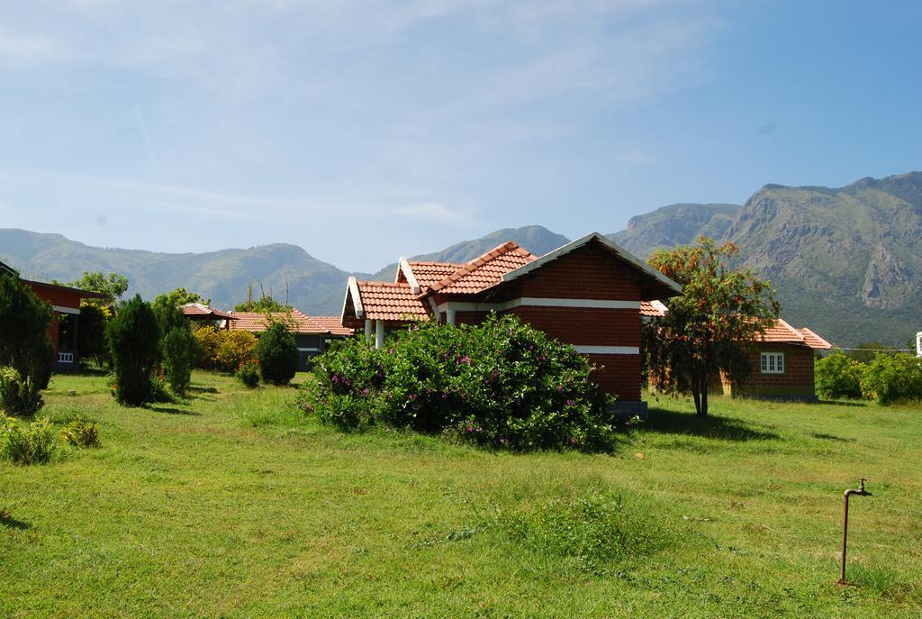 Masinagudi * Ooty