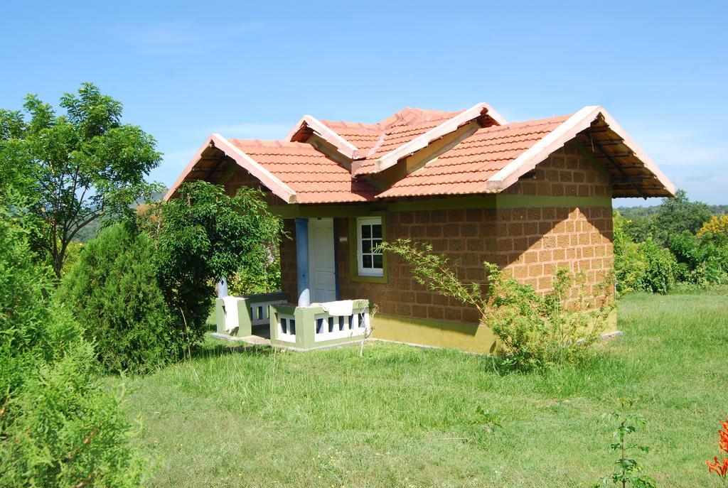 Masinagudi Ooty