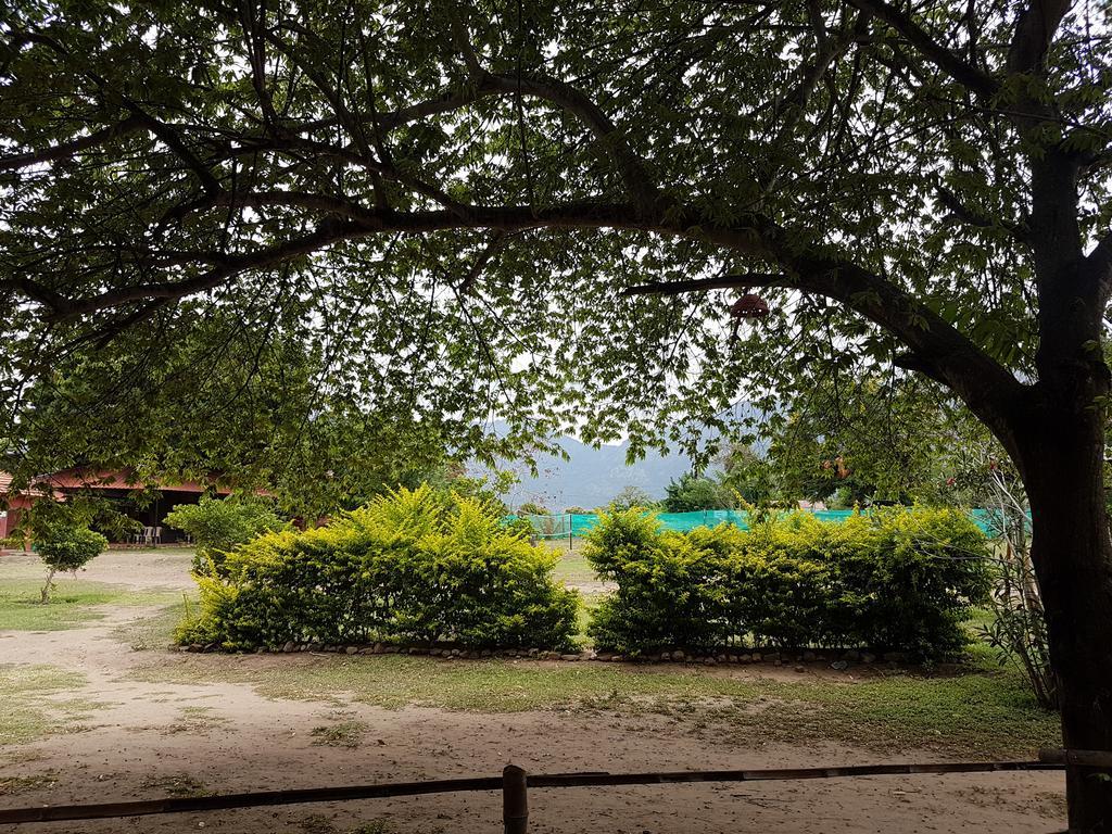 Guest house Tamarind Tree Ooty