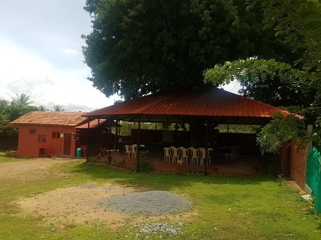 Guest house Tamarind Tree *