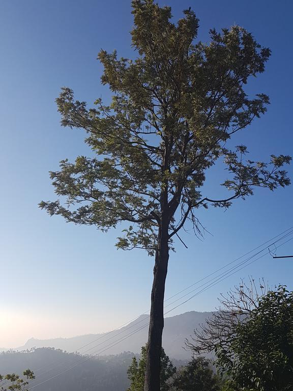 Cascademeadows -falls View * Ooty