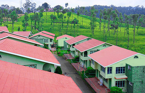 La Flora Amberley Resort, Resort Ooty