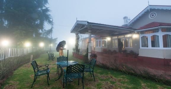 Bouganvilla Ooty