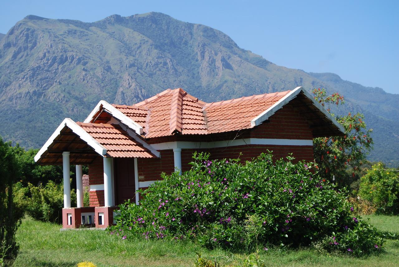 Masinagudi * Ooty