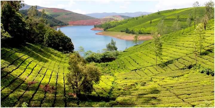 Nr Guest house Ooty