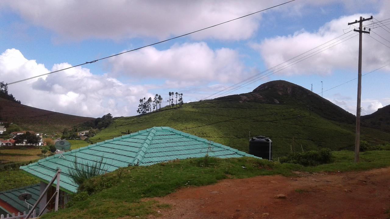 Homestay Hill View Dream