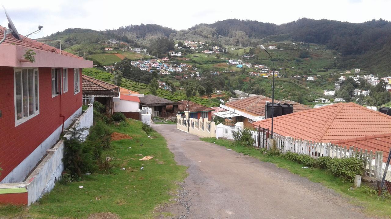 Hill View Dream Homestay *