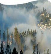 Club Mahindra Derby Green, Ooty
