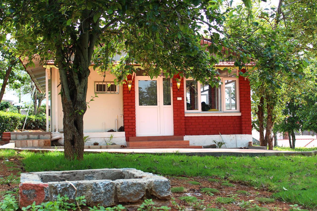 Guest house Myspace 3*