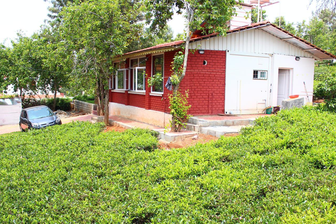 Guest house Myspace 3*