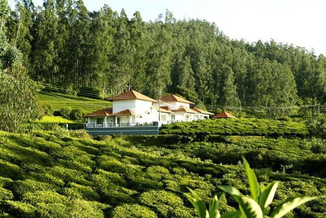 Country house Green Leaves The Countryside *