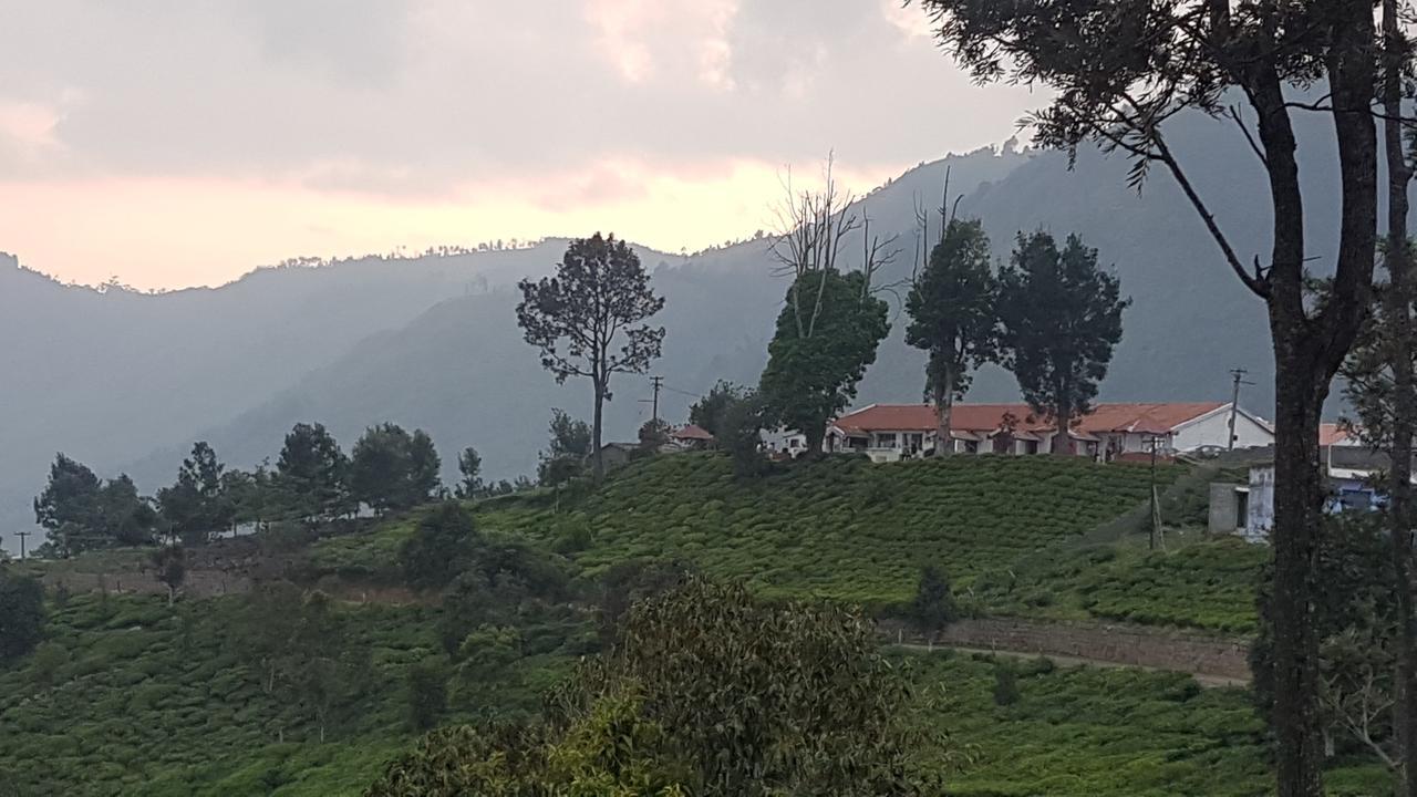 Cascademeadows -falls View Hotel