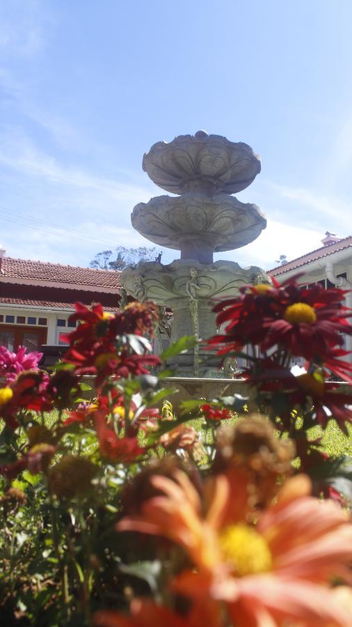 West Downs - The Heritage Resort 4*