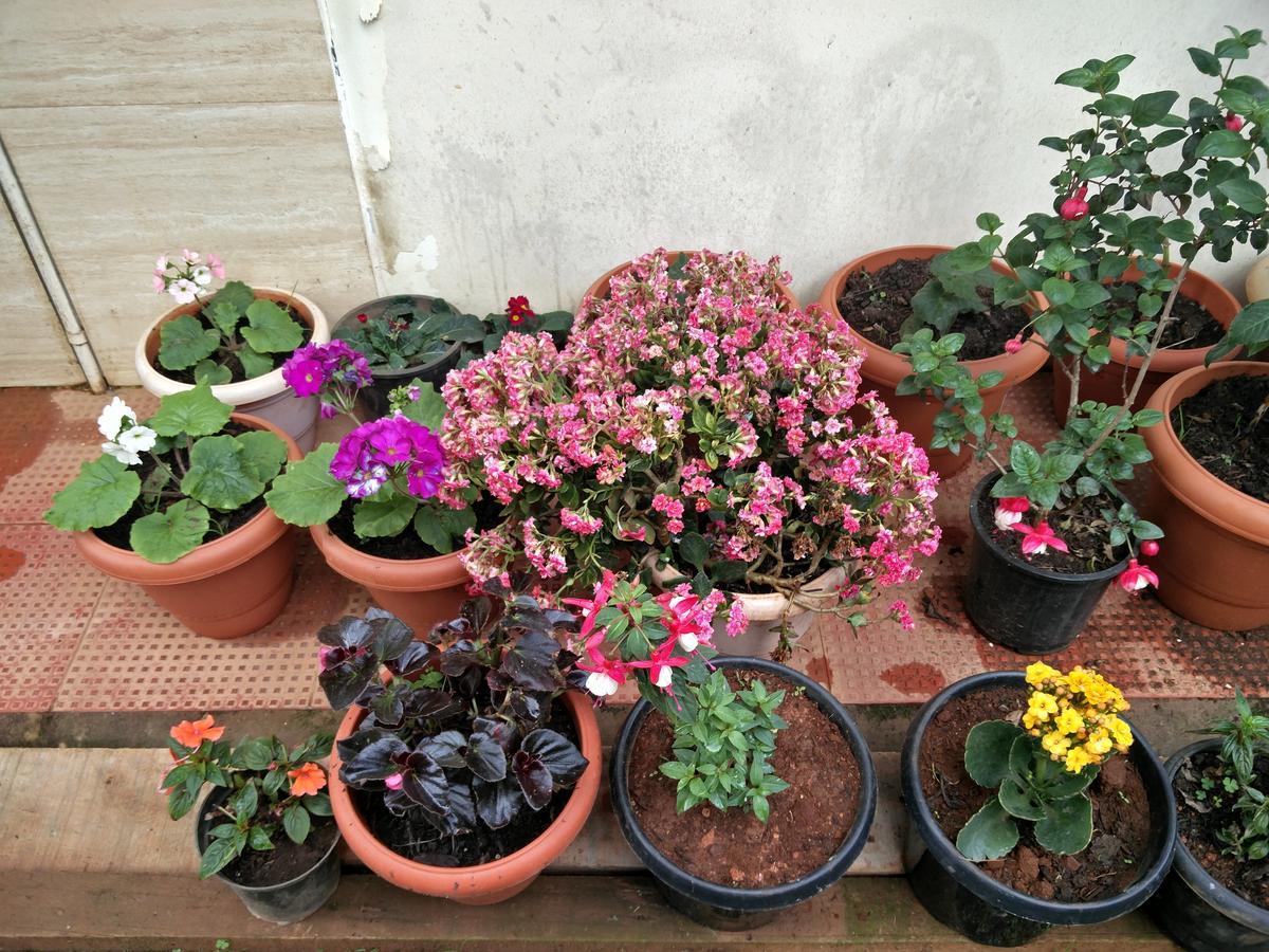 The Great Escape Homestay Ooty