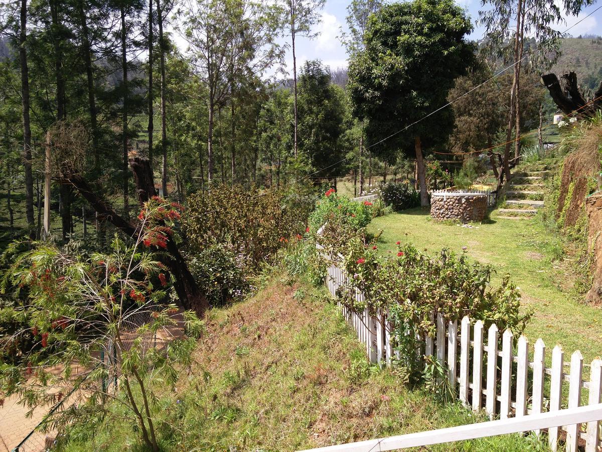Homestay The Great Escape *