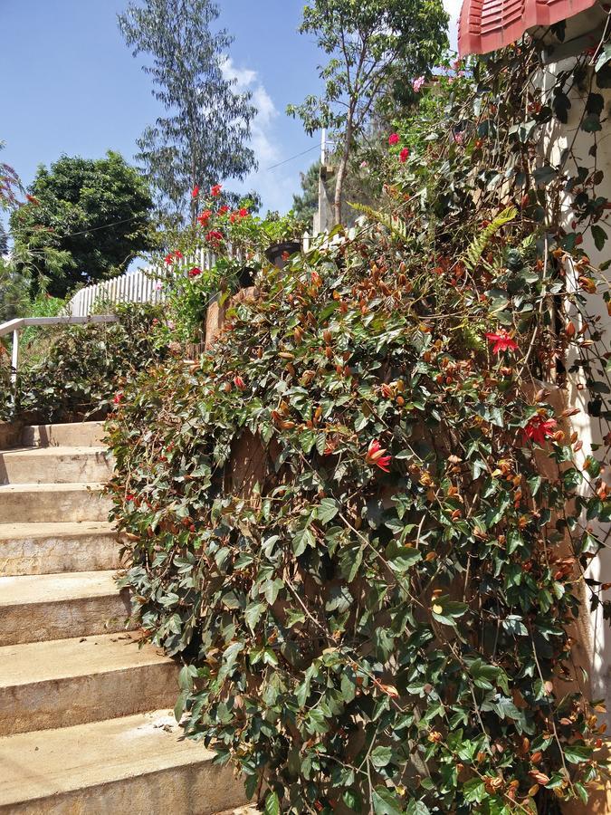 The Great Escape Homestay *