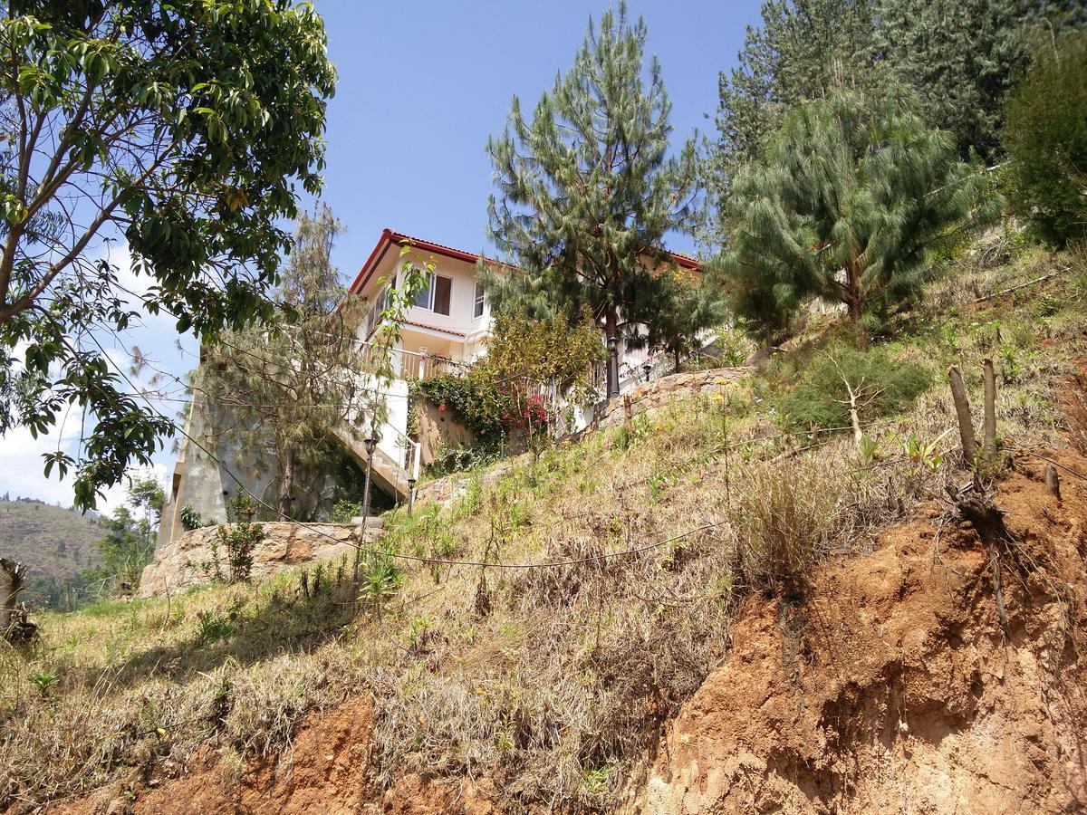 Homestay The Great Escape