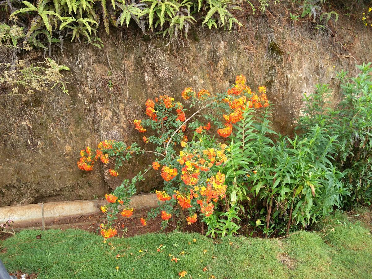 The Great Escape Ooty