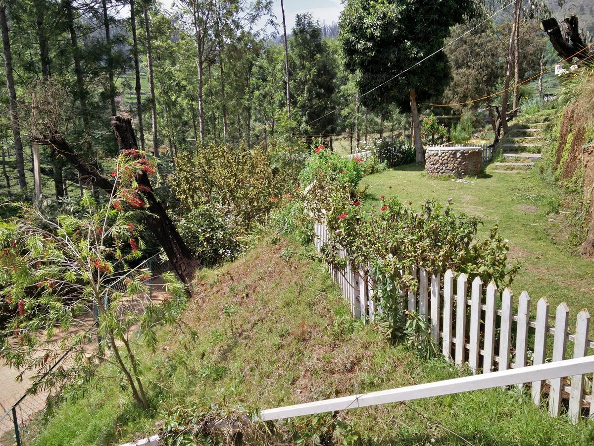 The Great Escape * Ooty