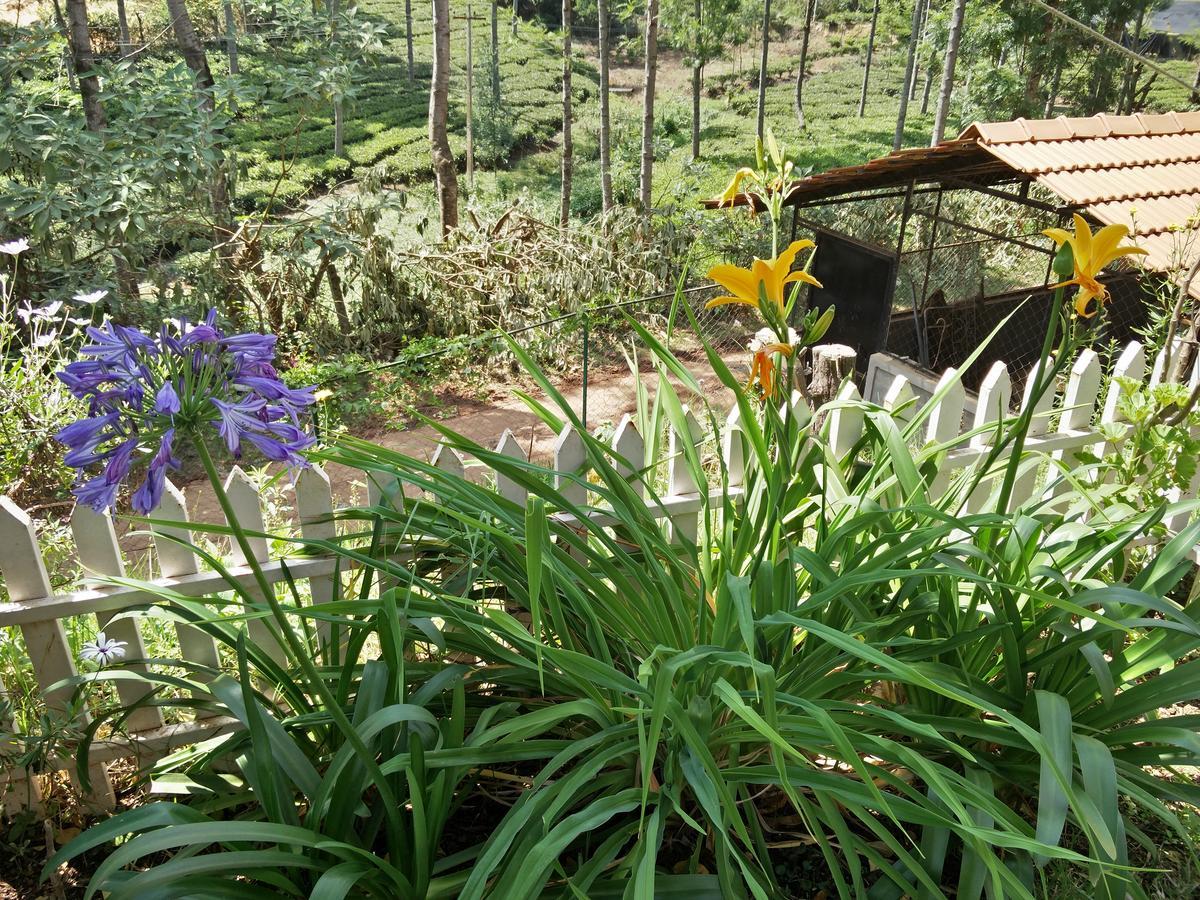 The Great Escape Homestay Ooty