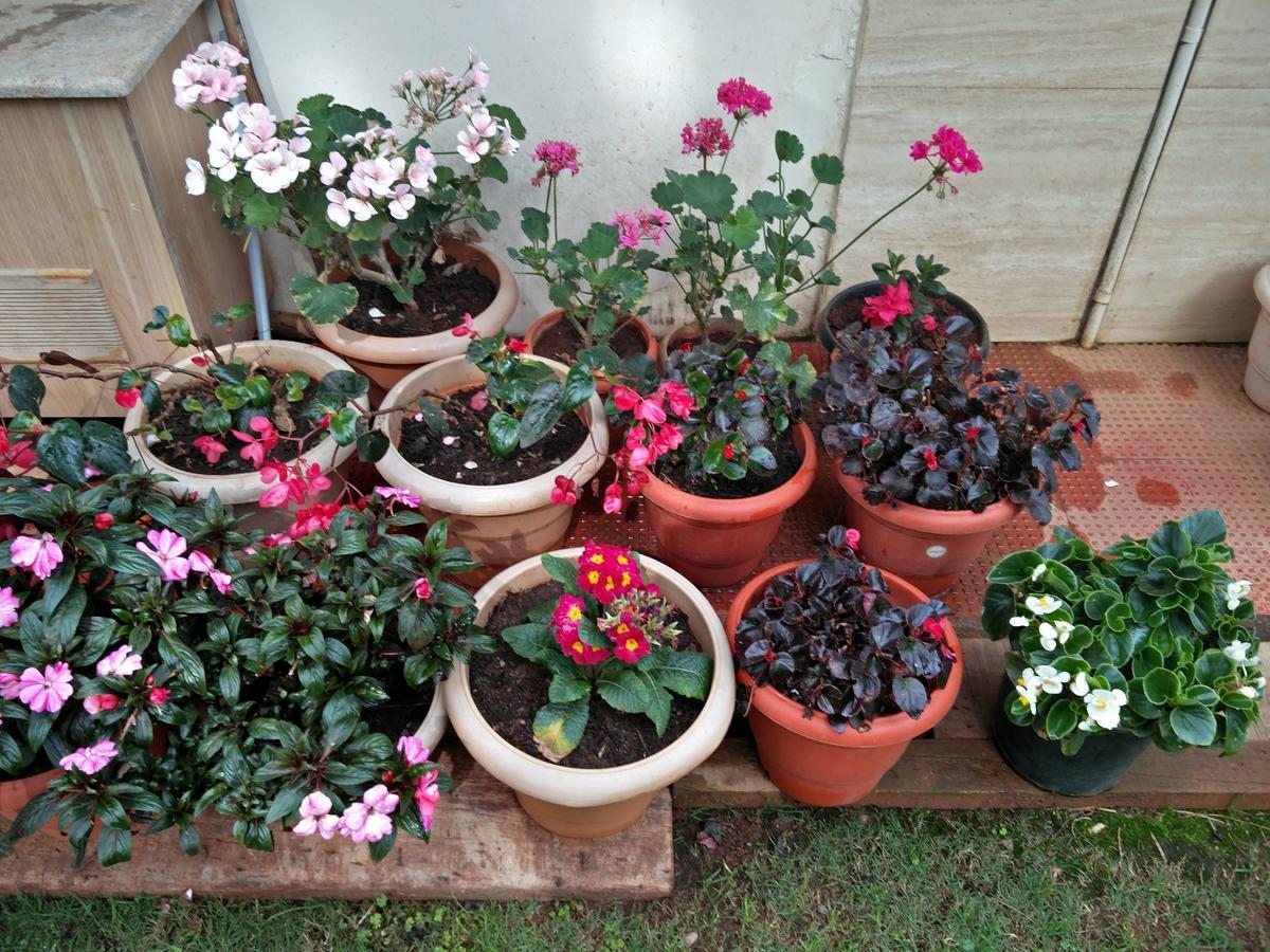 The Great Escape * Ooty