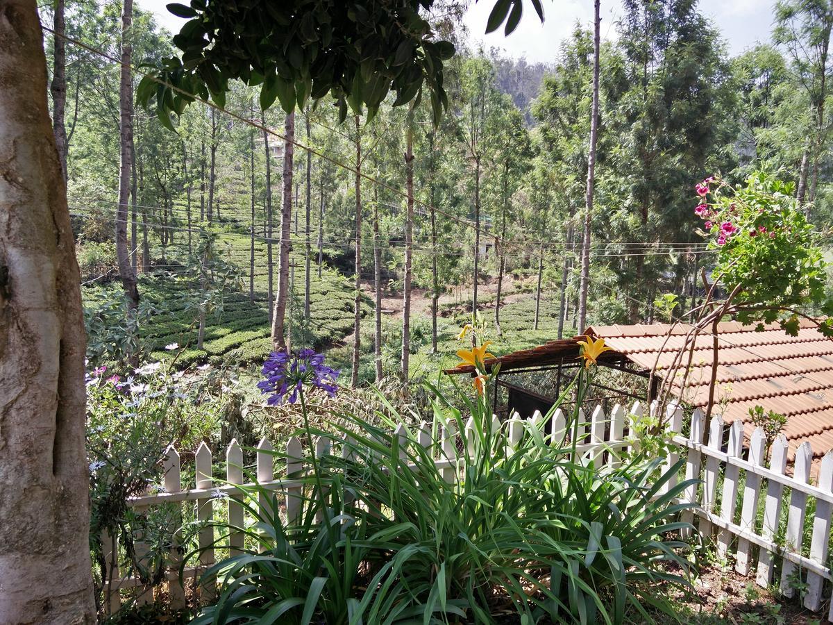 The Great Escape Homestay