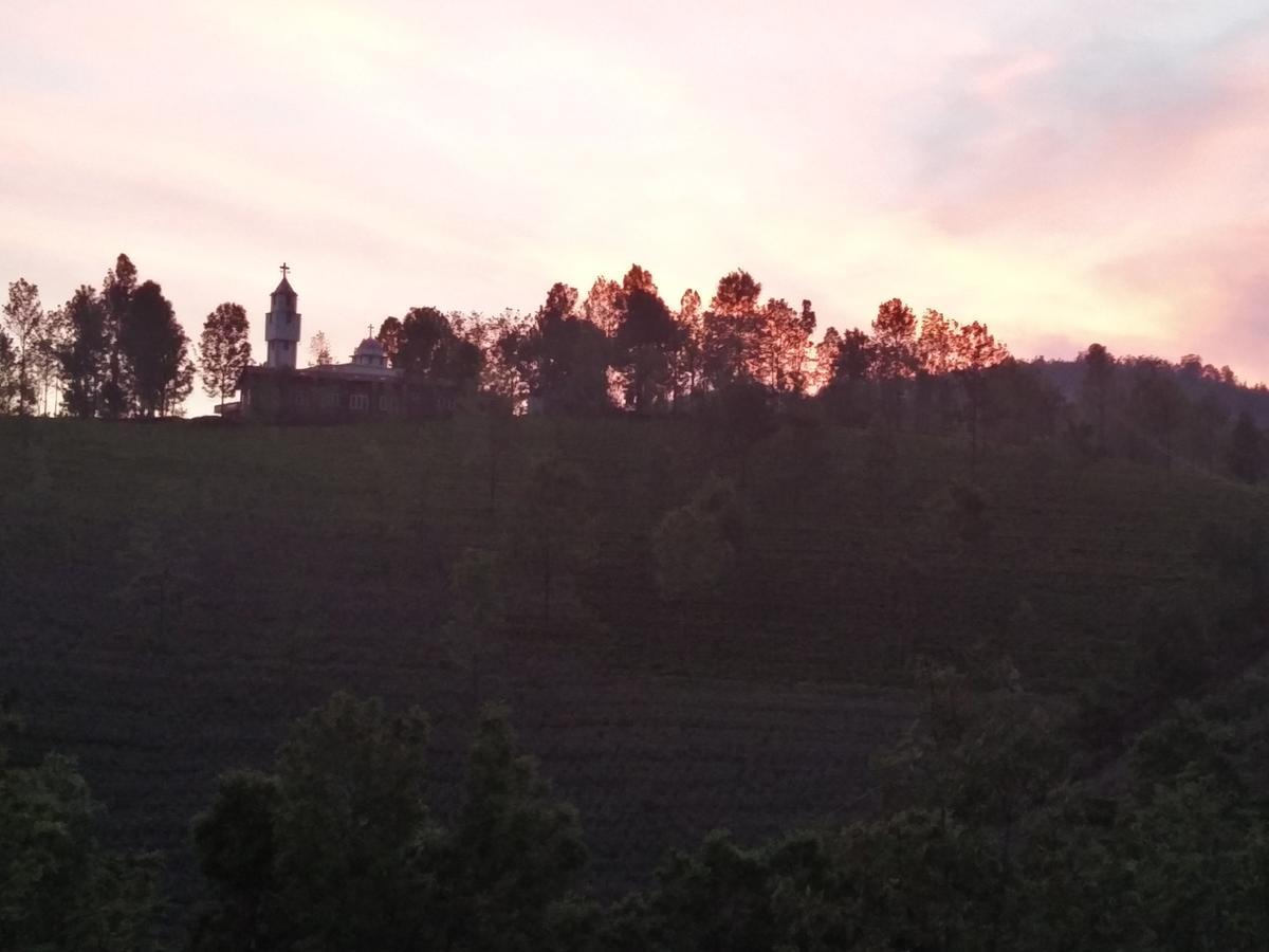 The Great Escape Homestay *