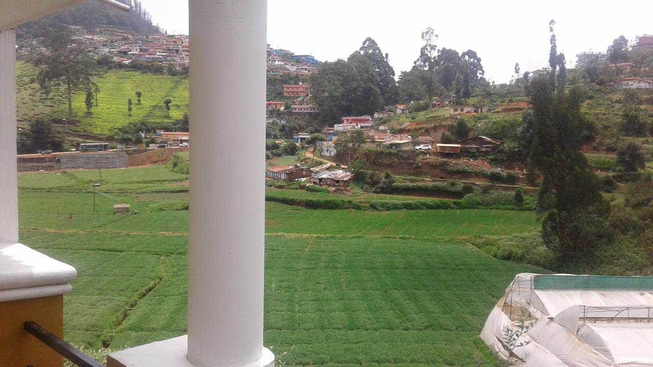 Homestay Rainbow Palace *
