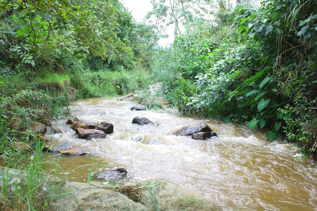 Rustling River Ooty