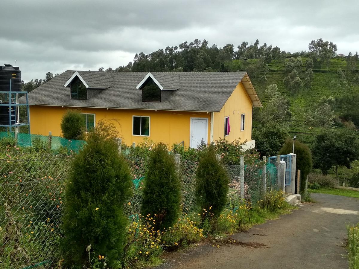 Myspace Guest house Ooty