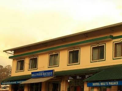 Hotel Oyo 10950 Hills Palace 2*