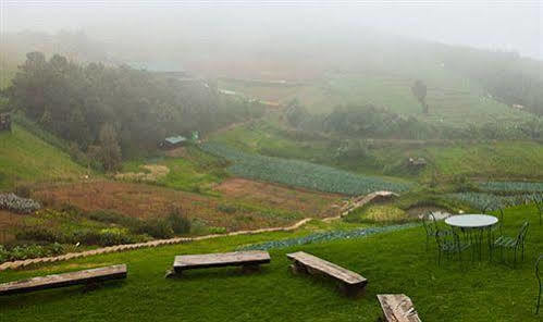 Destiny - An Adventure Apartment Ooty