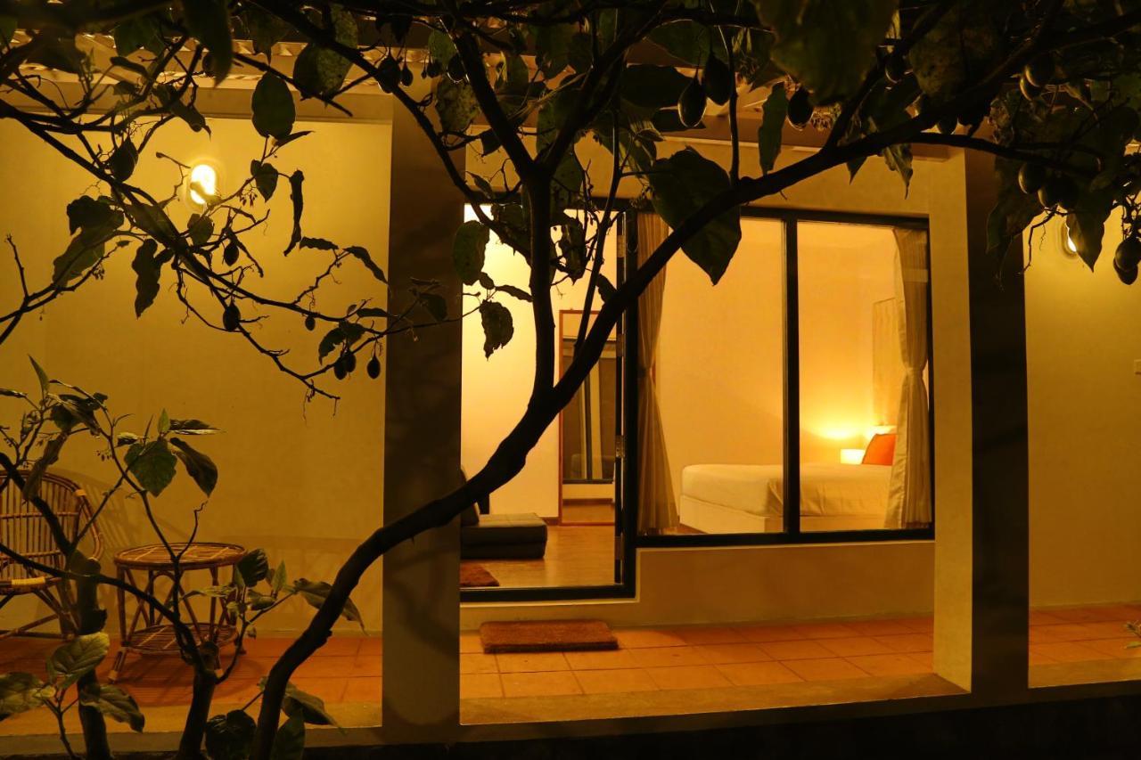 The Tamarillo