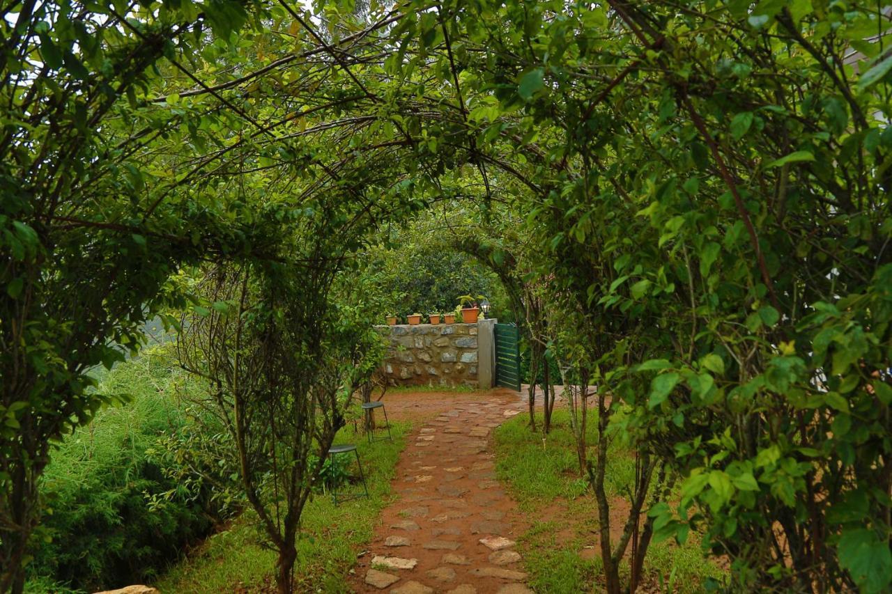 The Tamarillo Ooty
