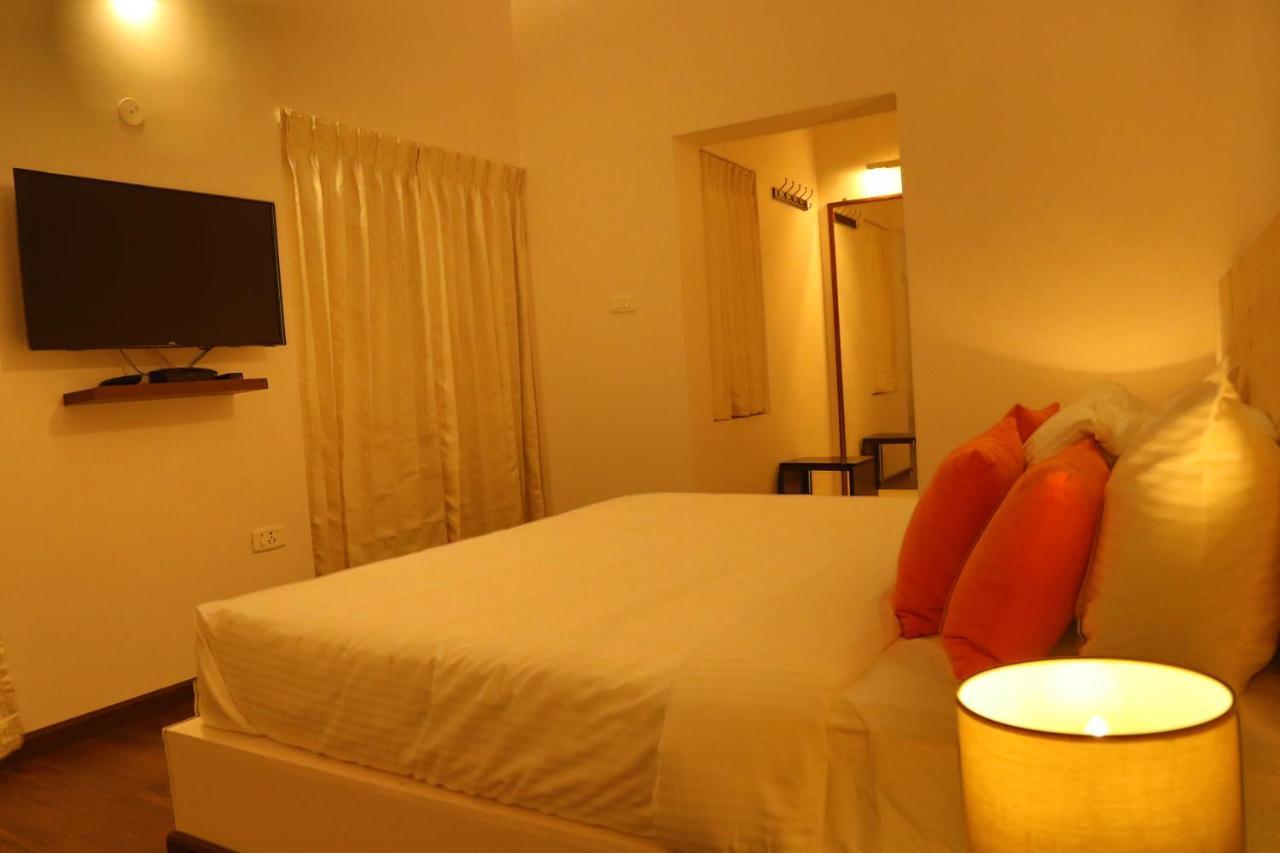 The Tamarillo 3*