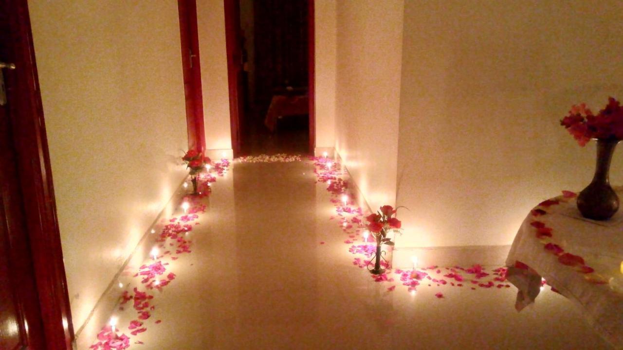 Homestay Skylarc