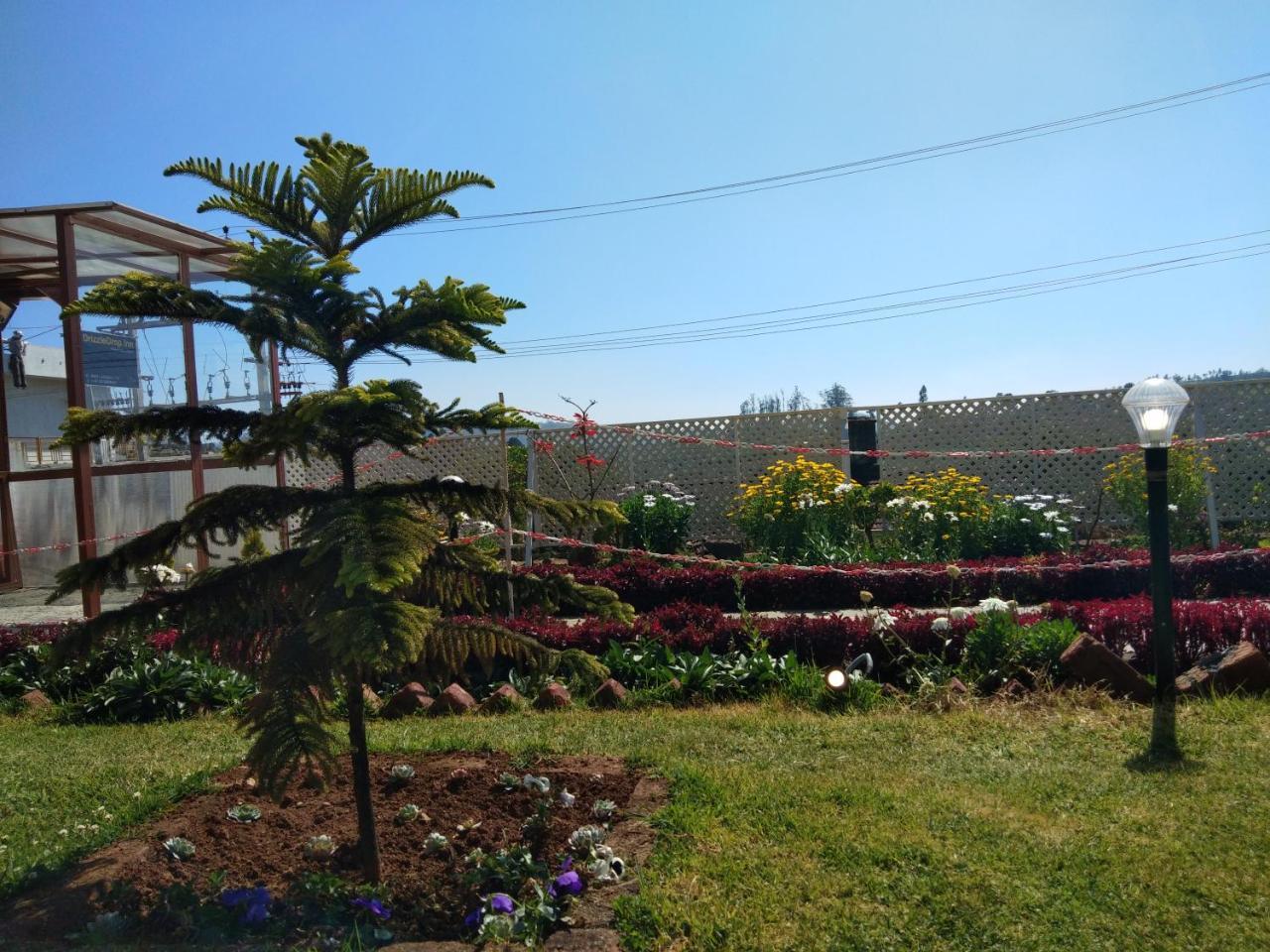 Drizzle Drop Ooty