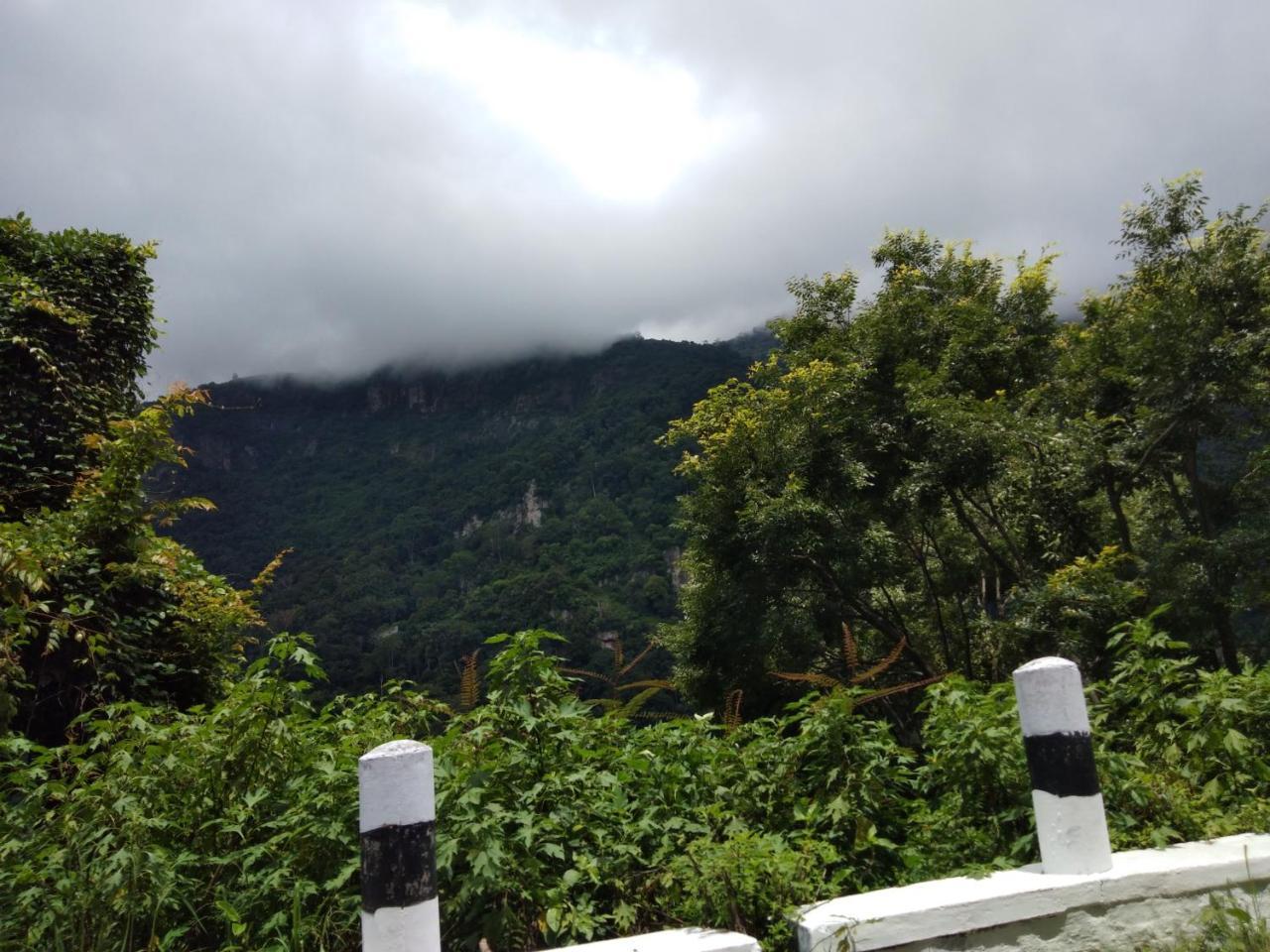 Resort Drizzle Drop