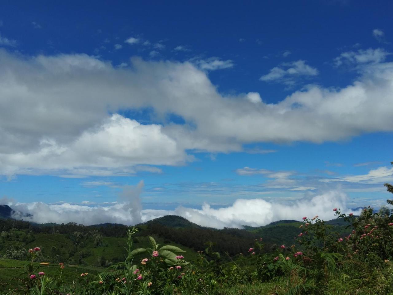 Resort Drizzle Drop Ooty