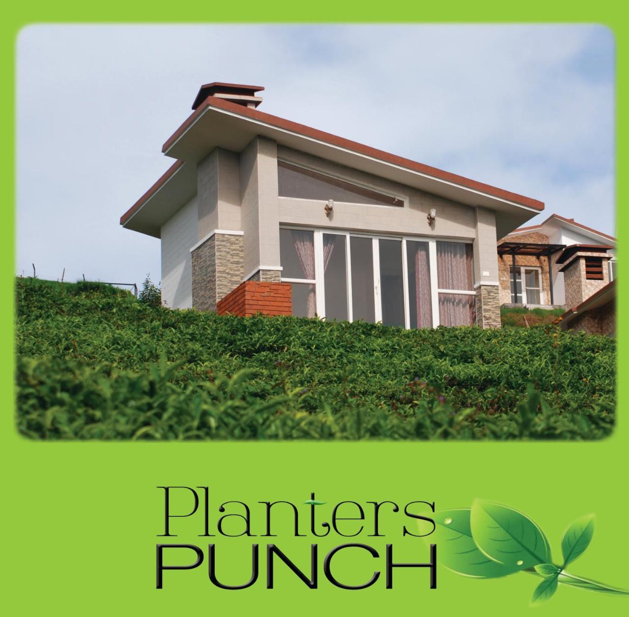 Planters Punch Villa *