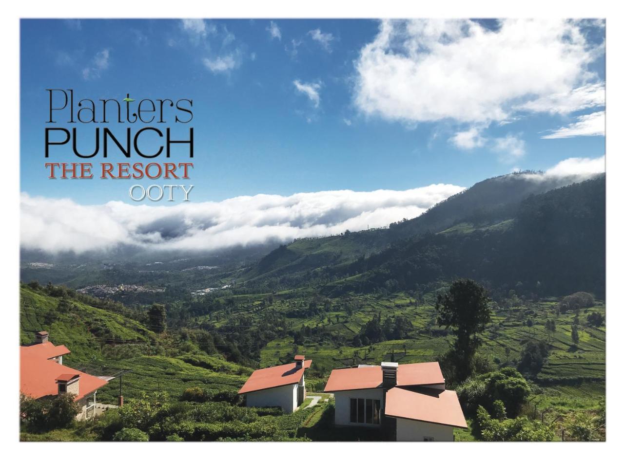 Planters Punch Villa
