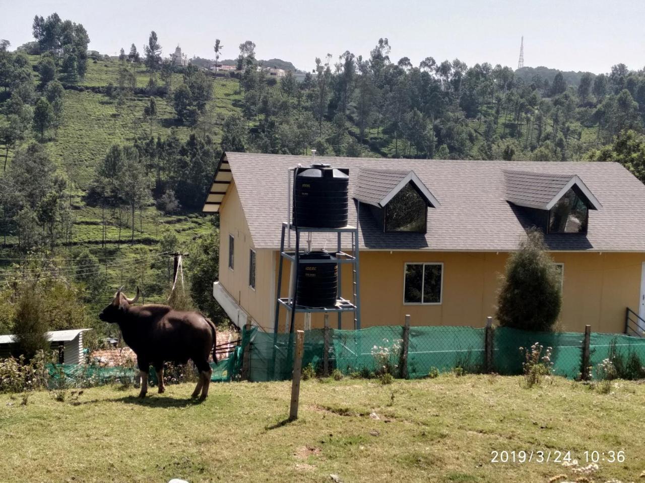 Myspace Guest house Ooty