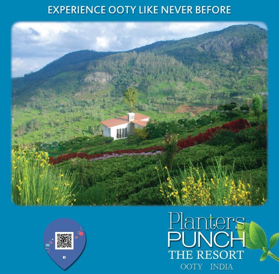 Planters Punch * Ooty
