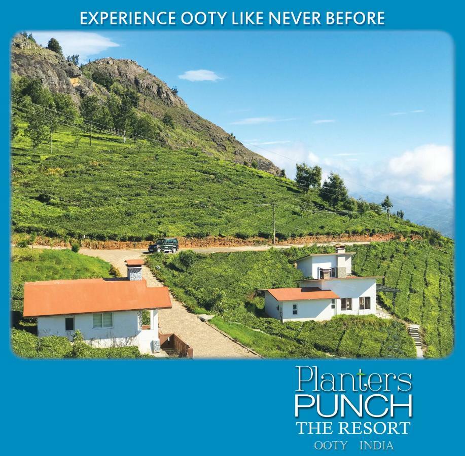 Planters Punch * Ooty