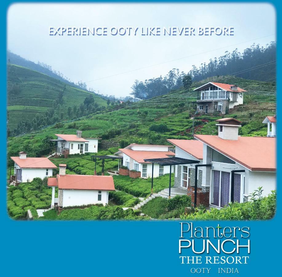 Planters Punch Villa Ooty