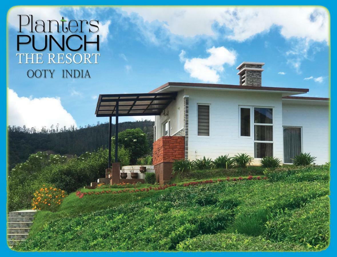 Planters Punch Villa *