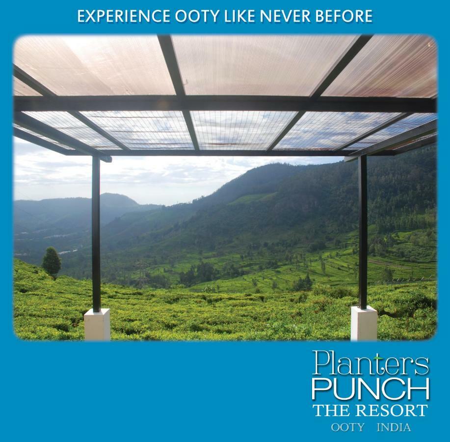 Planters Punch Villa