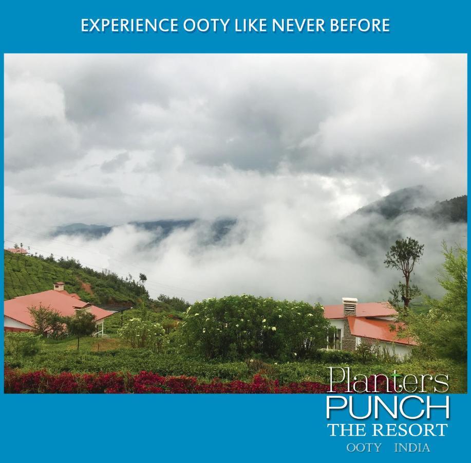 Villa Planters Punch Ooty